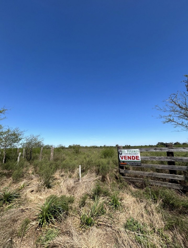 Lotes zona oeste