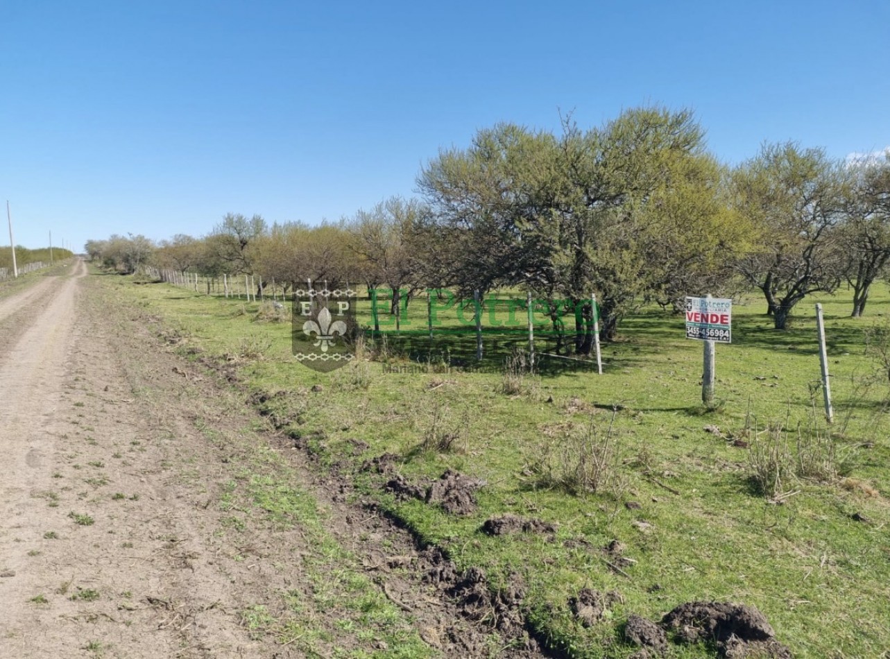 Campo 25 hectareas en Lucas Norte 