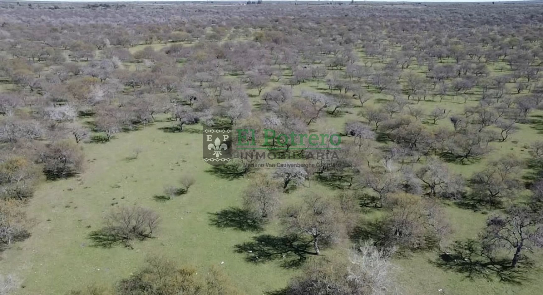 Campo 25 hectareas en Lucas Norte 