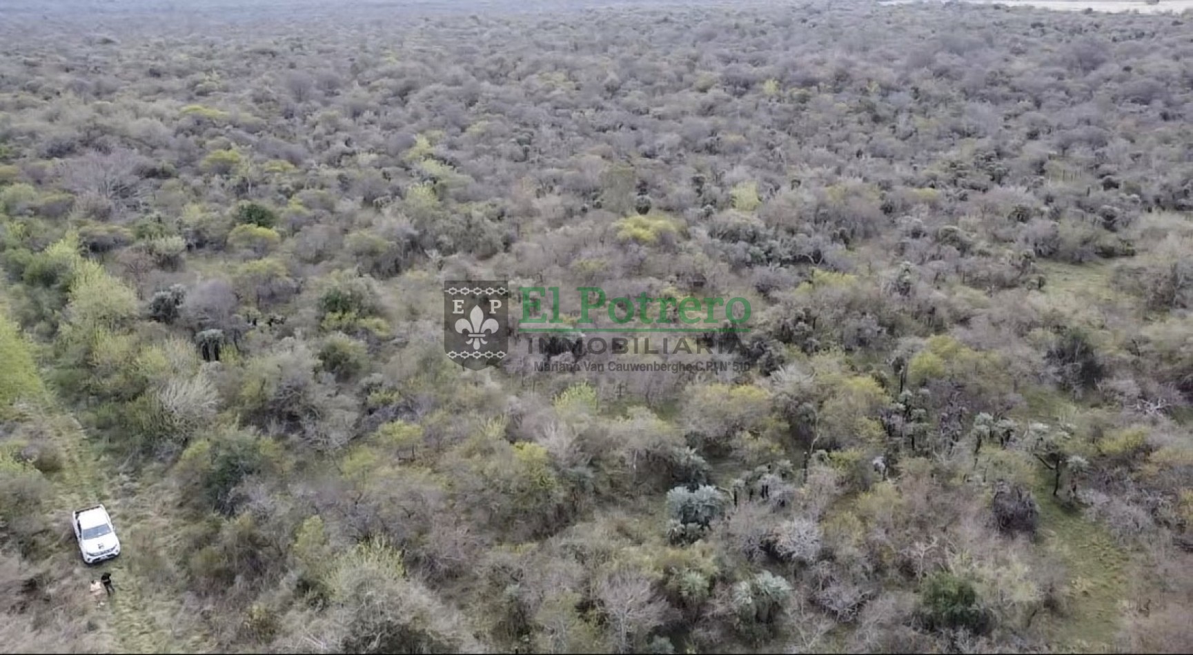 Campo en Raices este