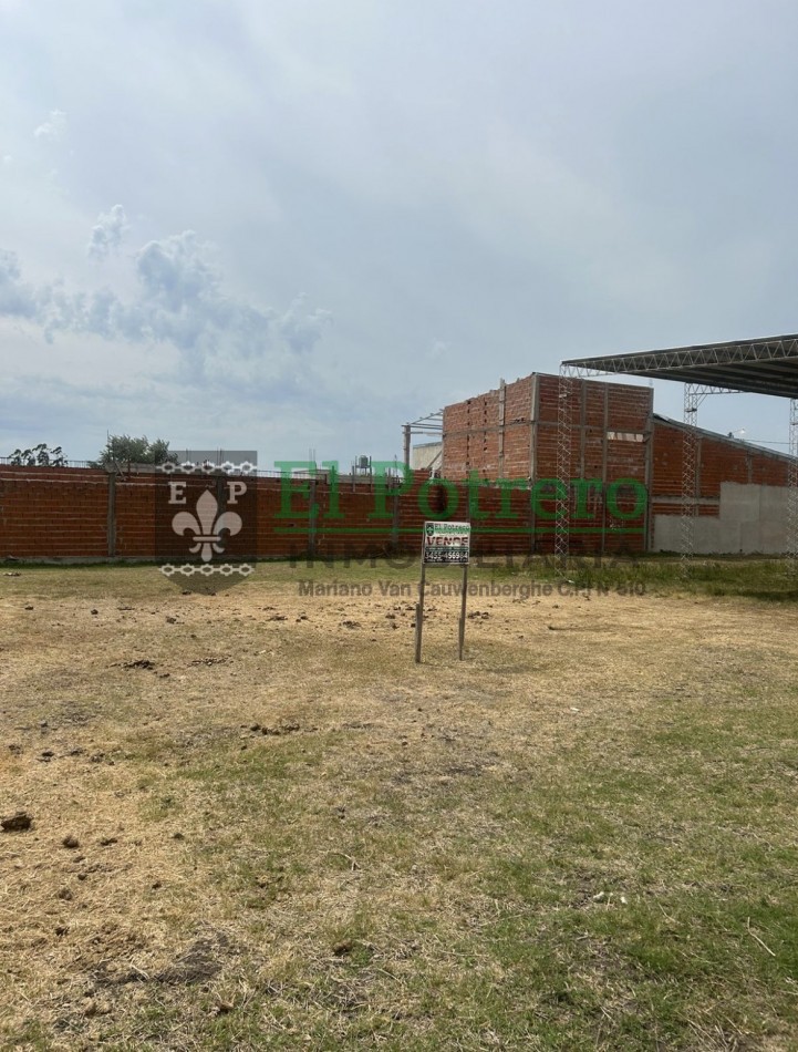 Terreno zona norte