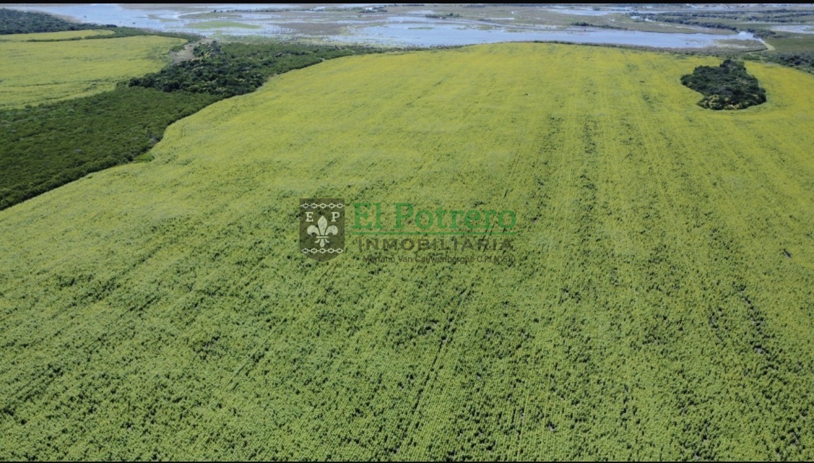 163 hectareas en Mojones