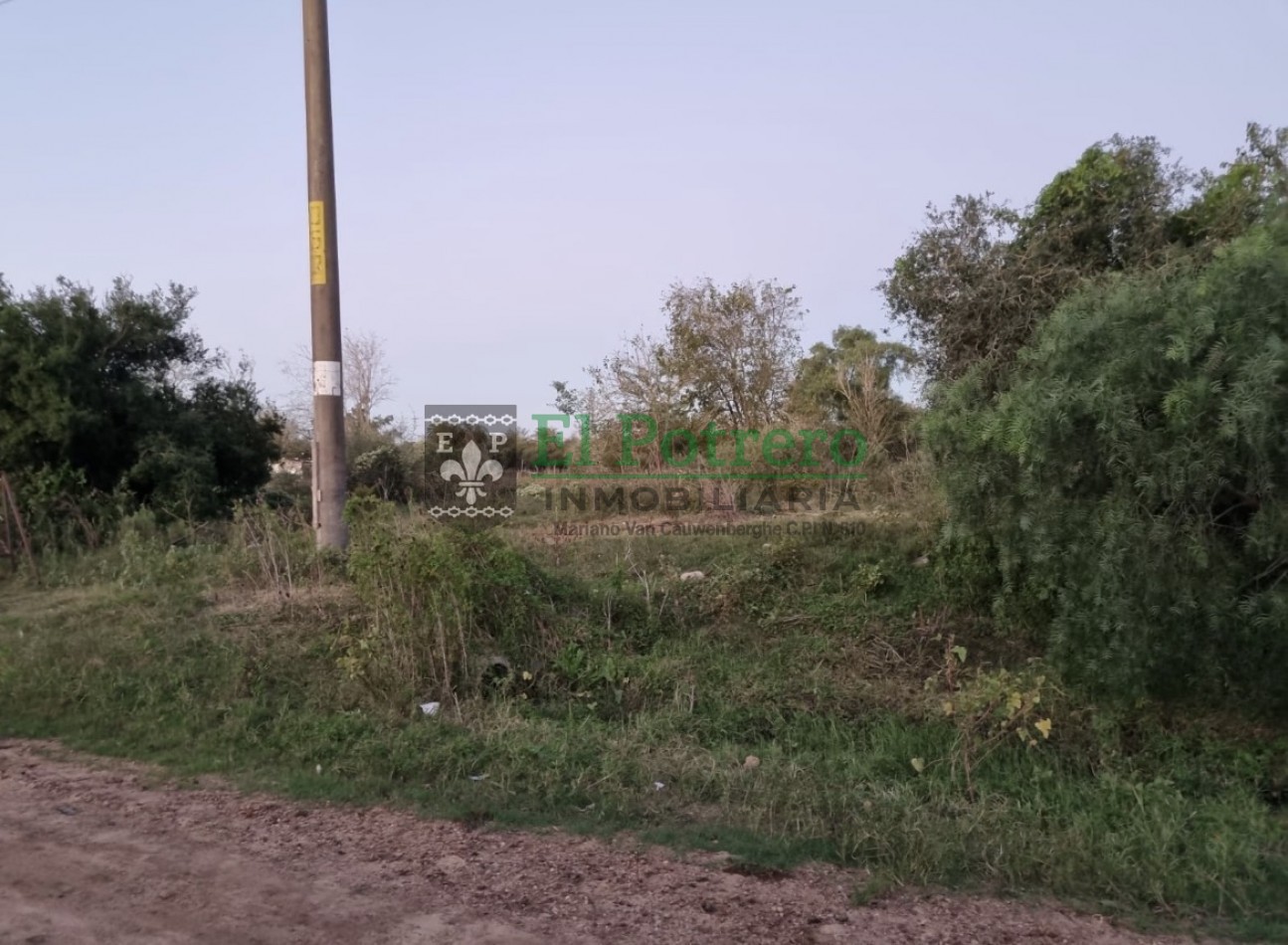 Amplio terreno calle Paysandu