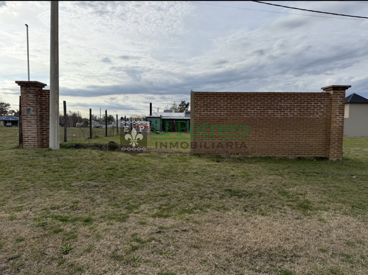 Lote Av. Alfonsin