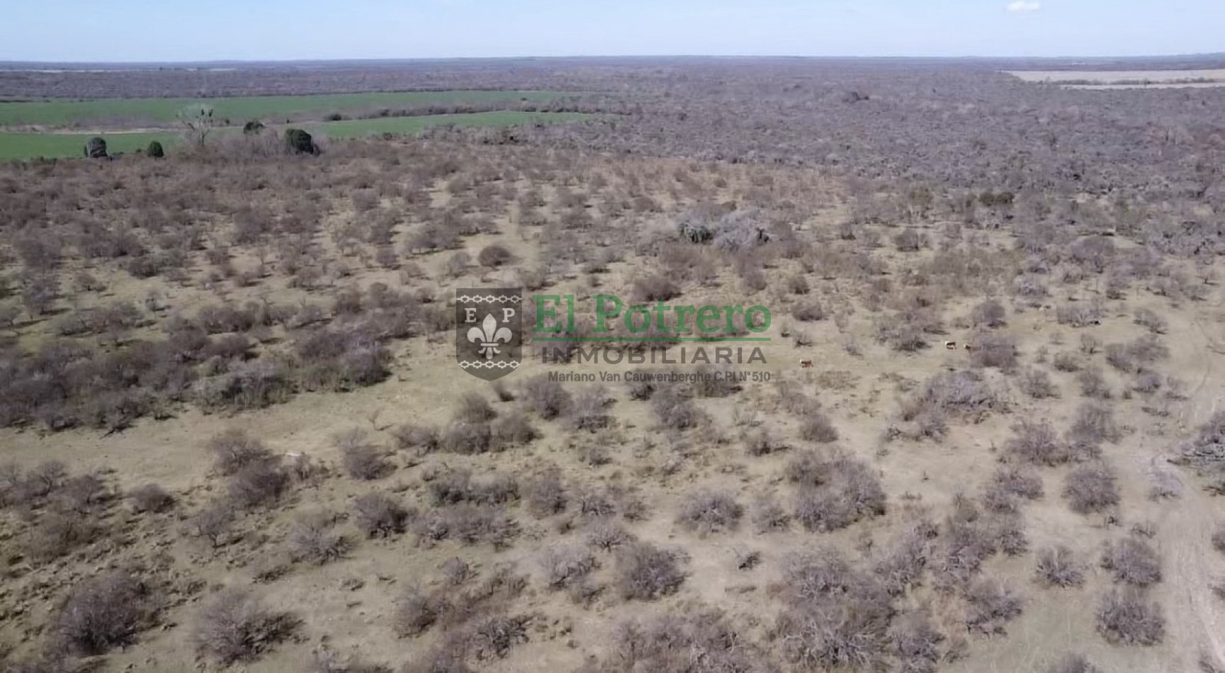 Campo en Raices este