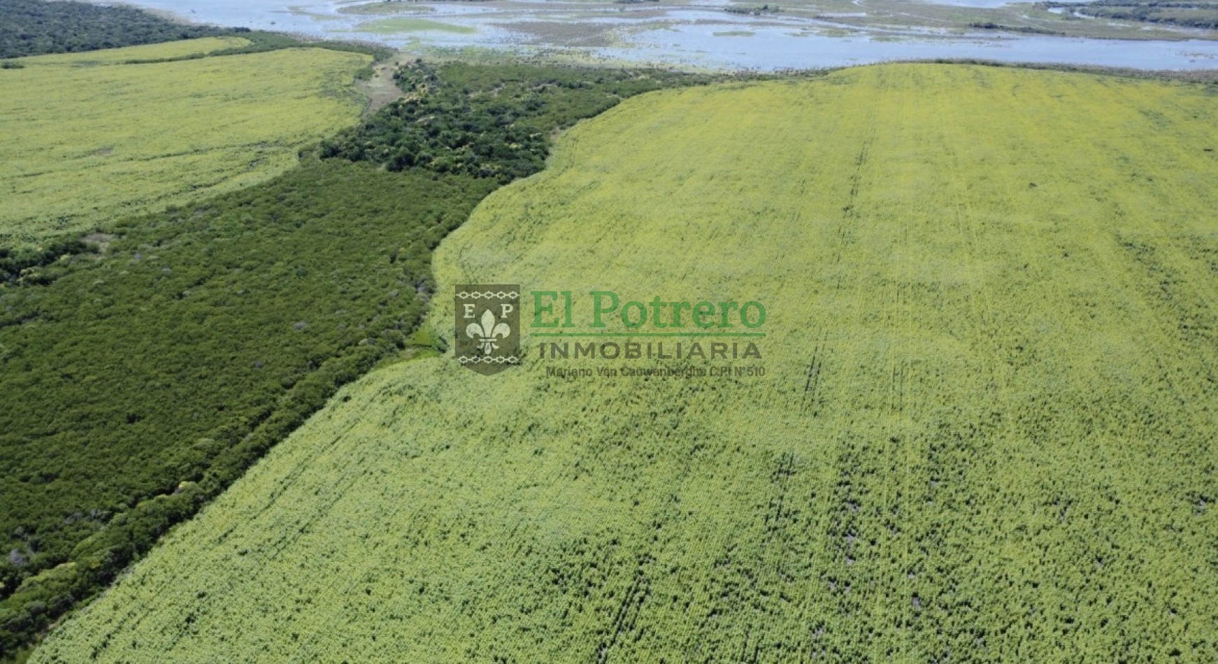 163 hectareas en Mojones