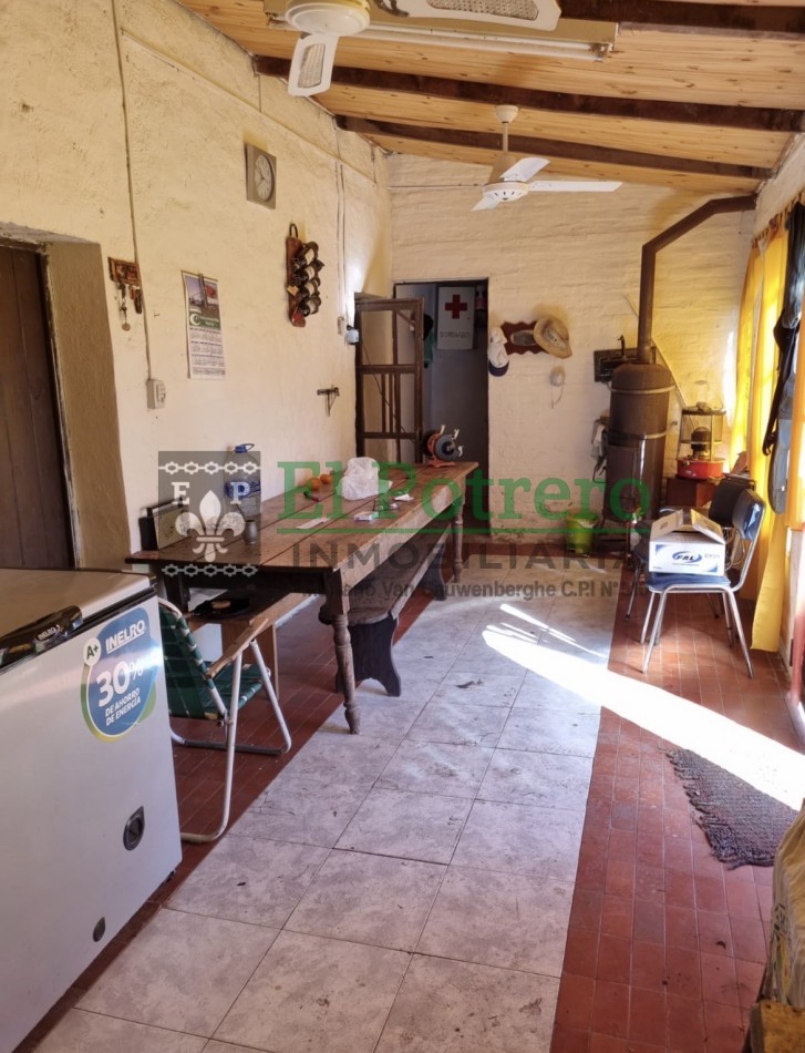 2 granjas de pollos + galpon + casa