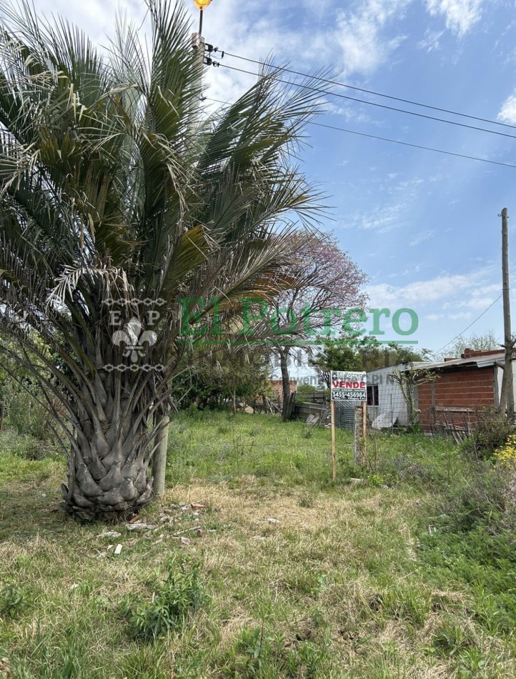 Terreno zona este