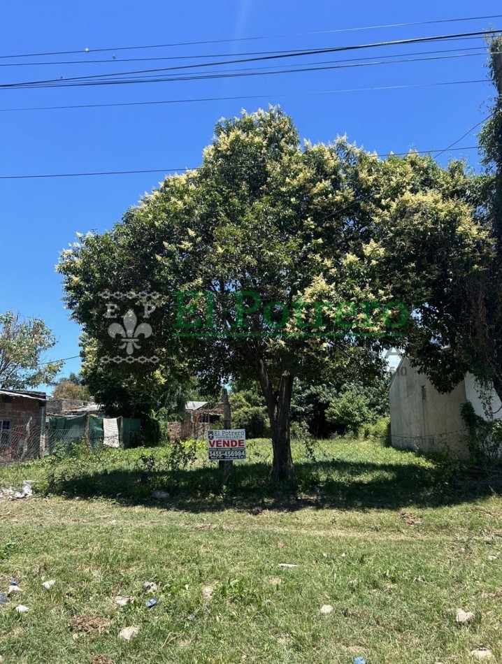 Terreno calle Miranda