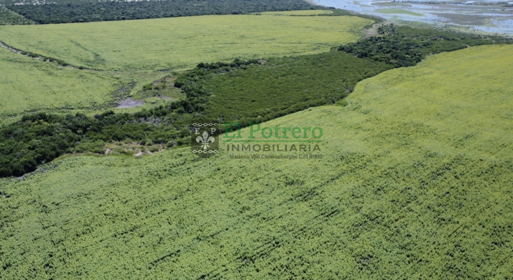 163 hectareas en Mojones