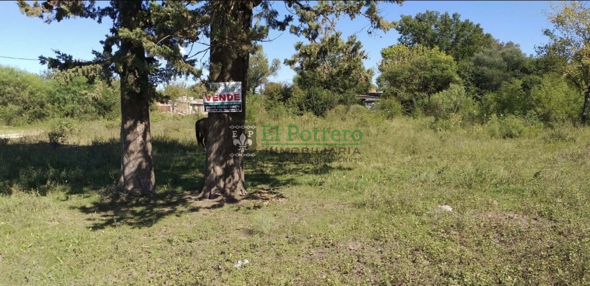Terrenos calle Paysandu