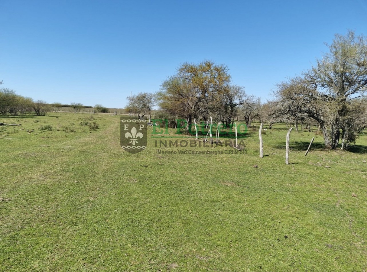 Campo 25 hectareas en Lucas Norte 