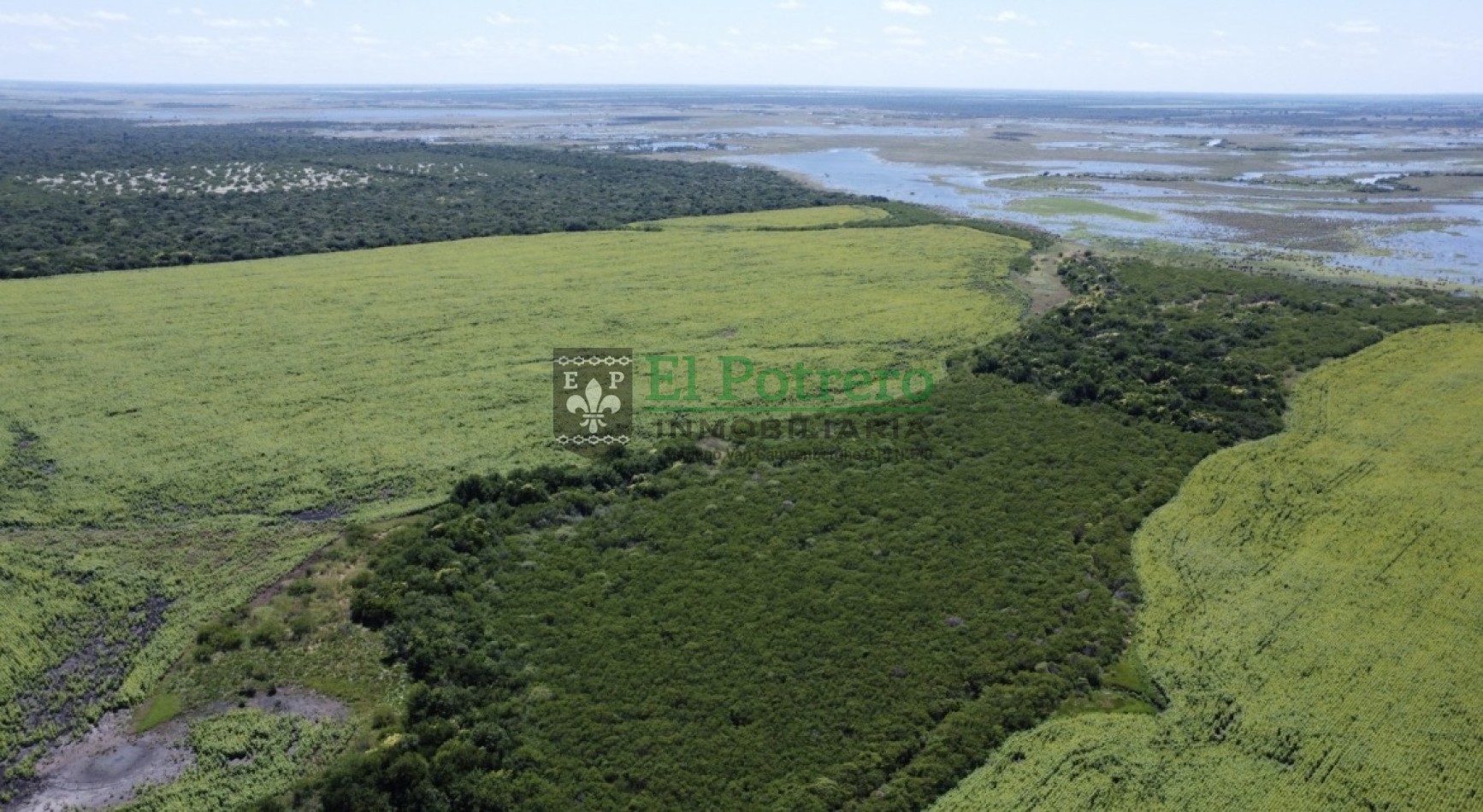 163 hectareas en Mojones