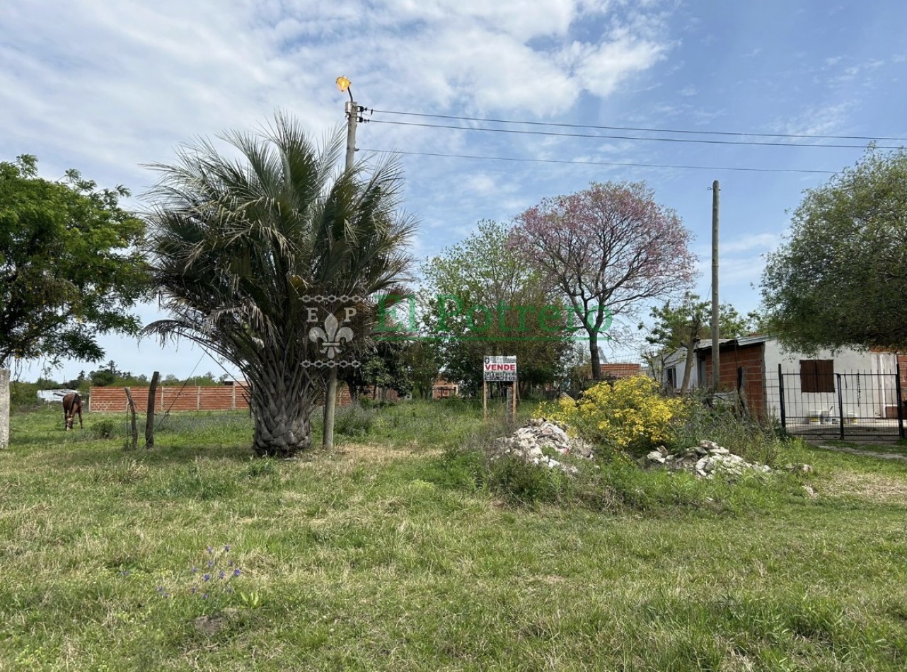 Terreno zona este