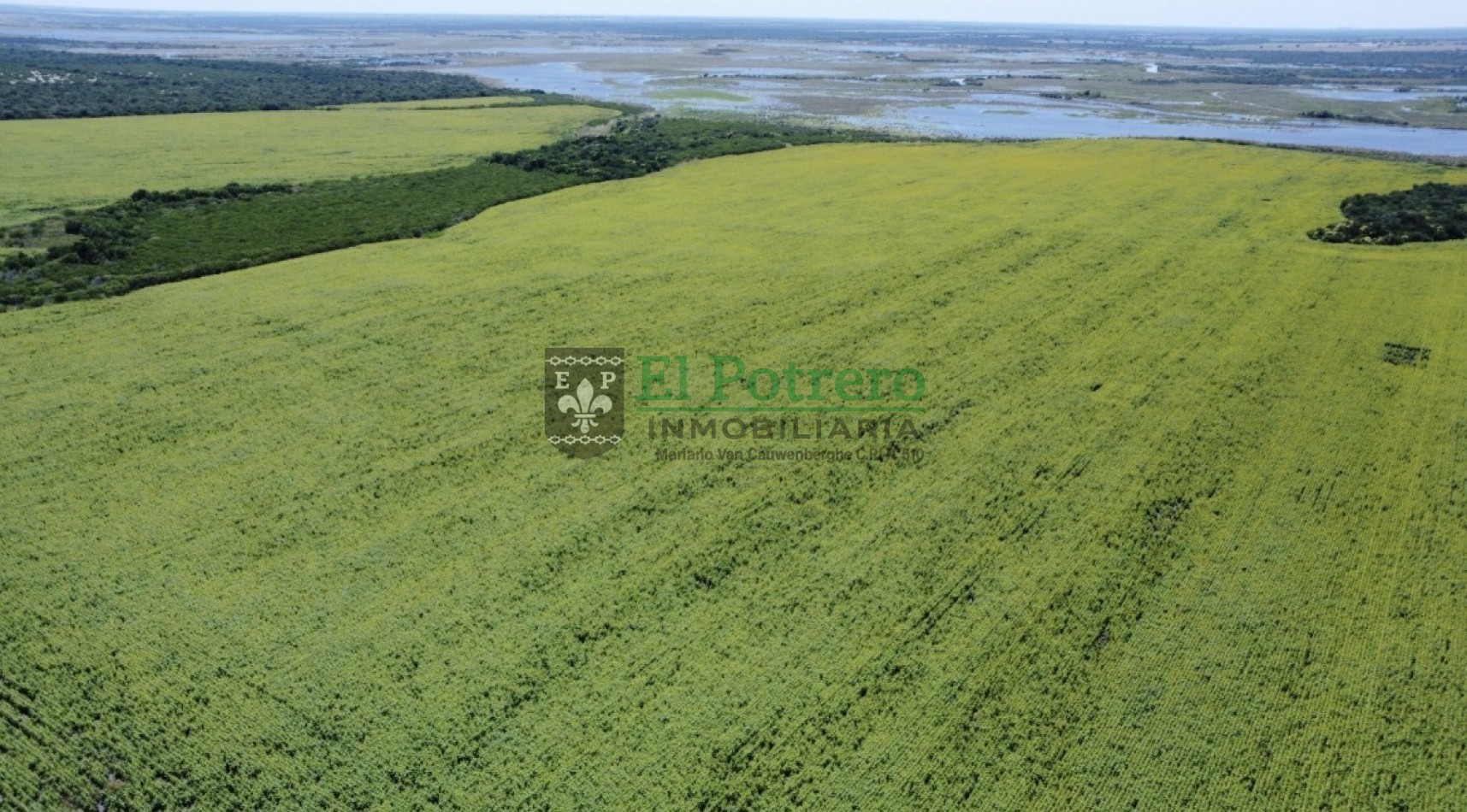 163 hectareas en Mojones