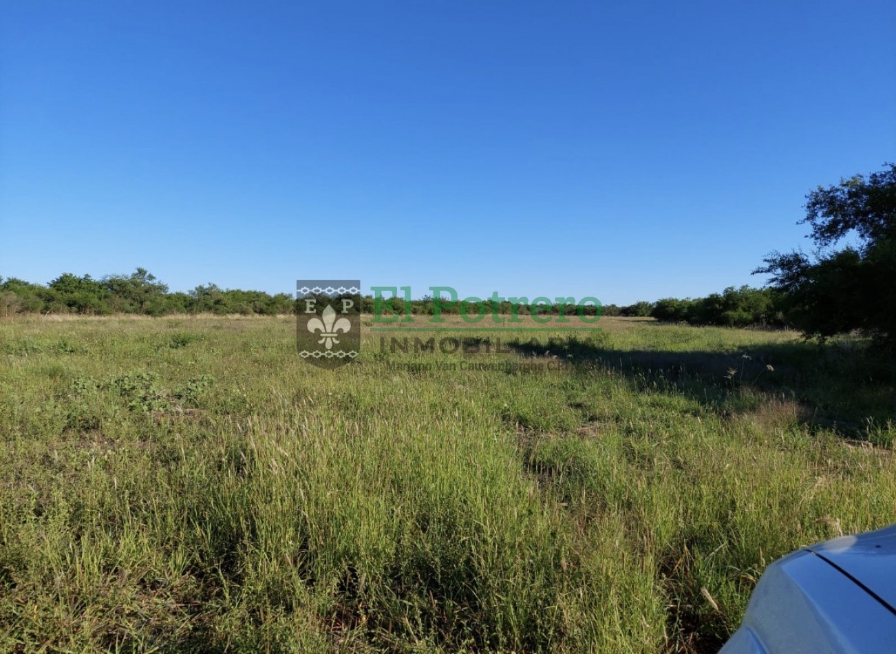 Terreno de 3,75 hectareas 