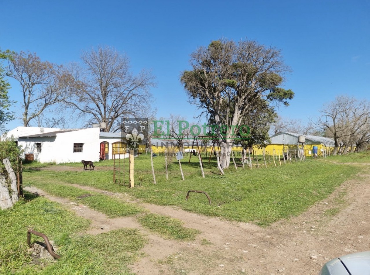 2 granjas de pollos + galpon + casa