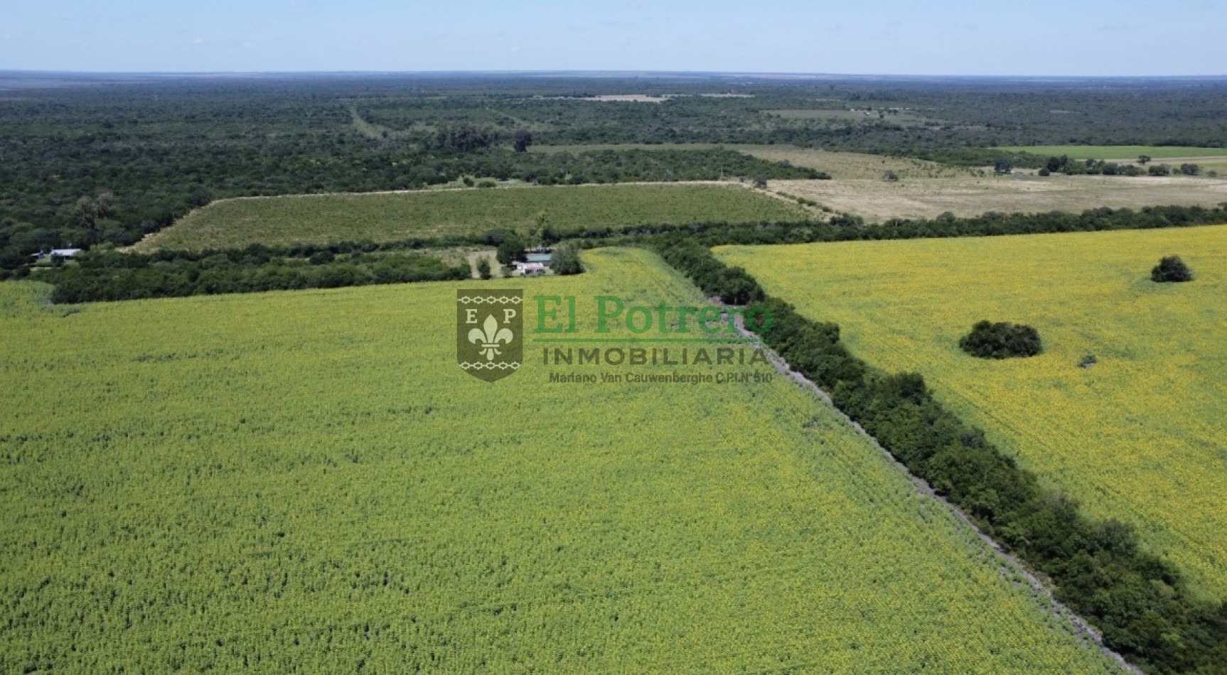 163 hectareas en Mojones