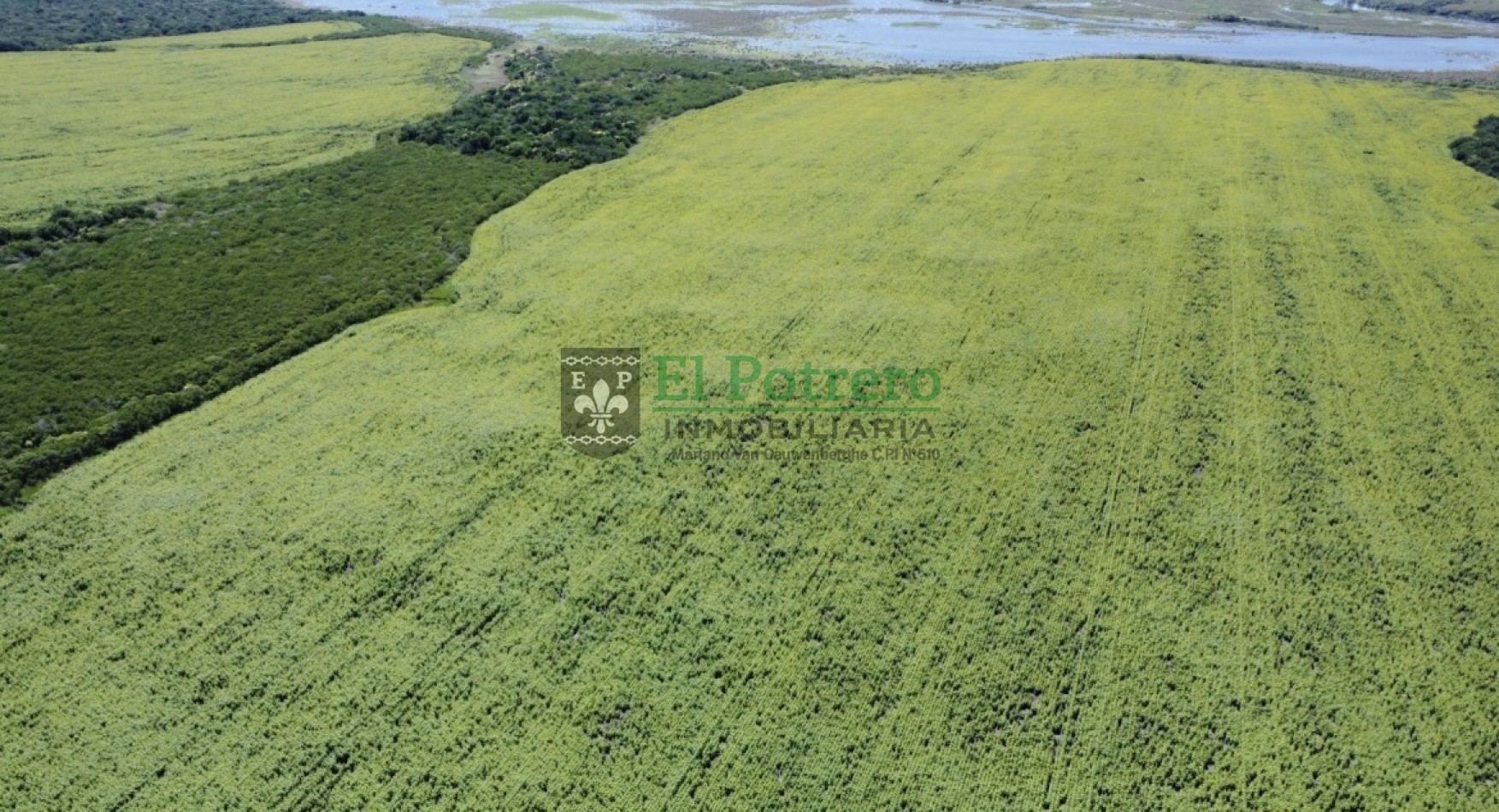 163 hectareas en Mojones
