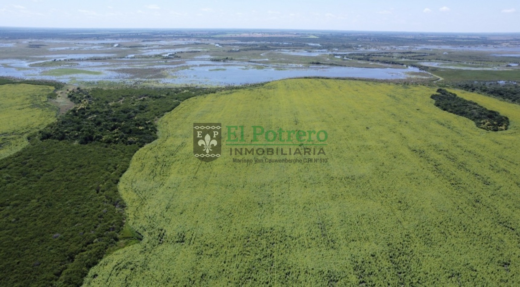 163 hectareas en Mojones