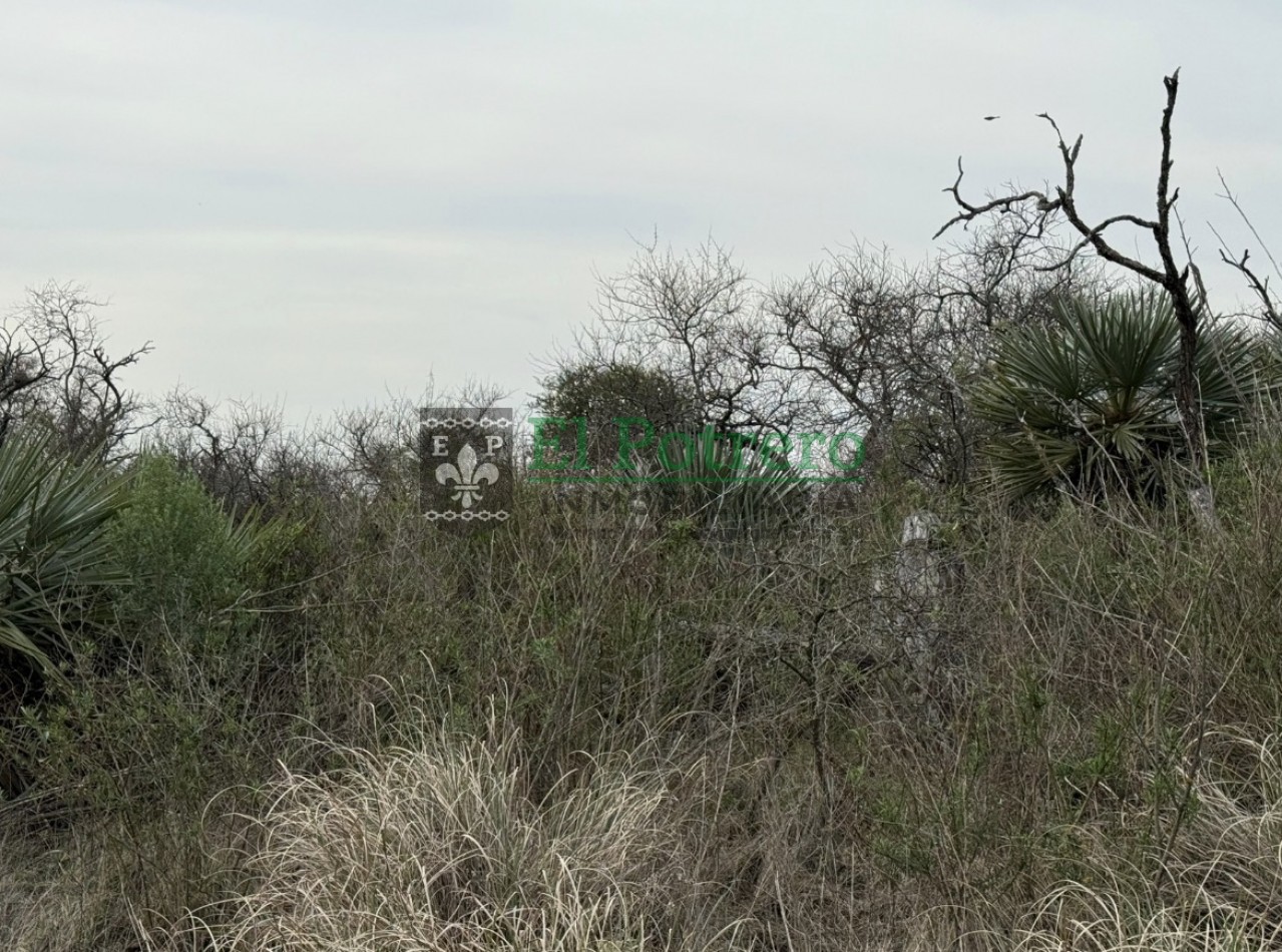 Campo en Raices este