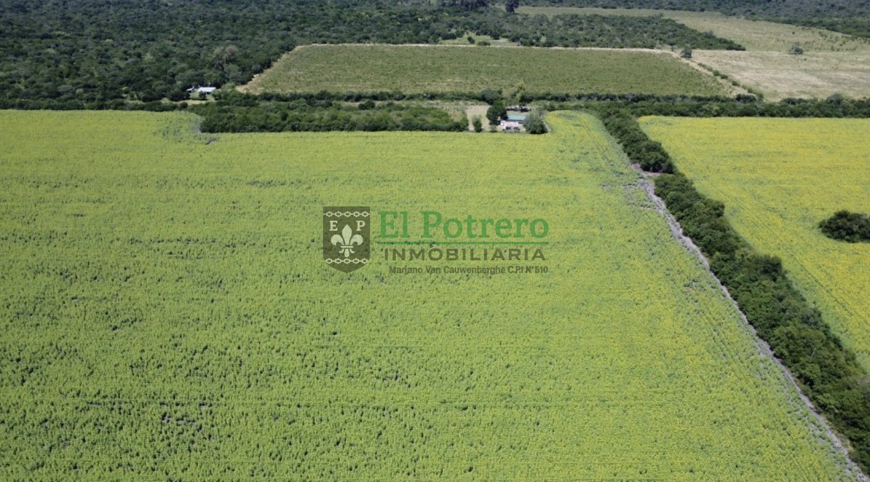 163 hectareas en Mojones