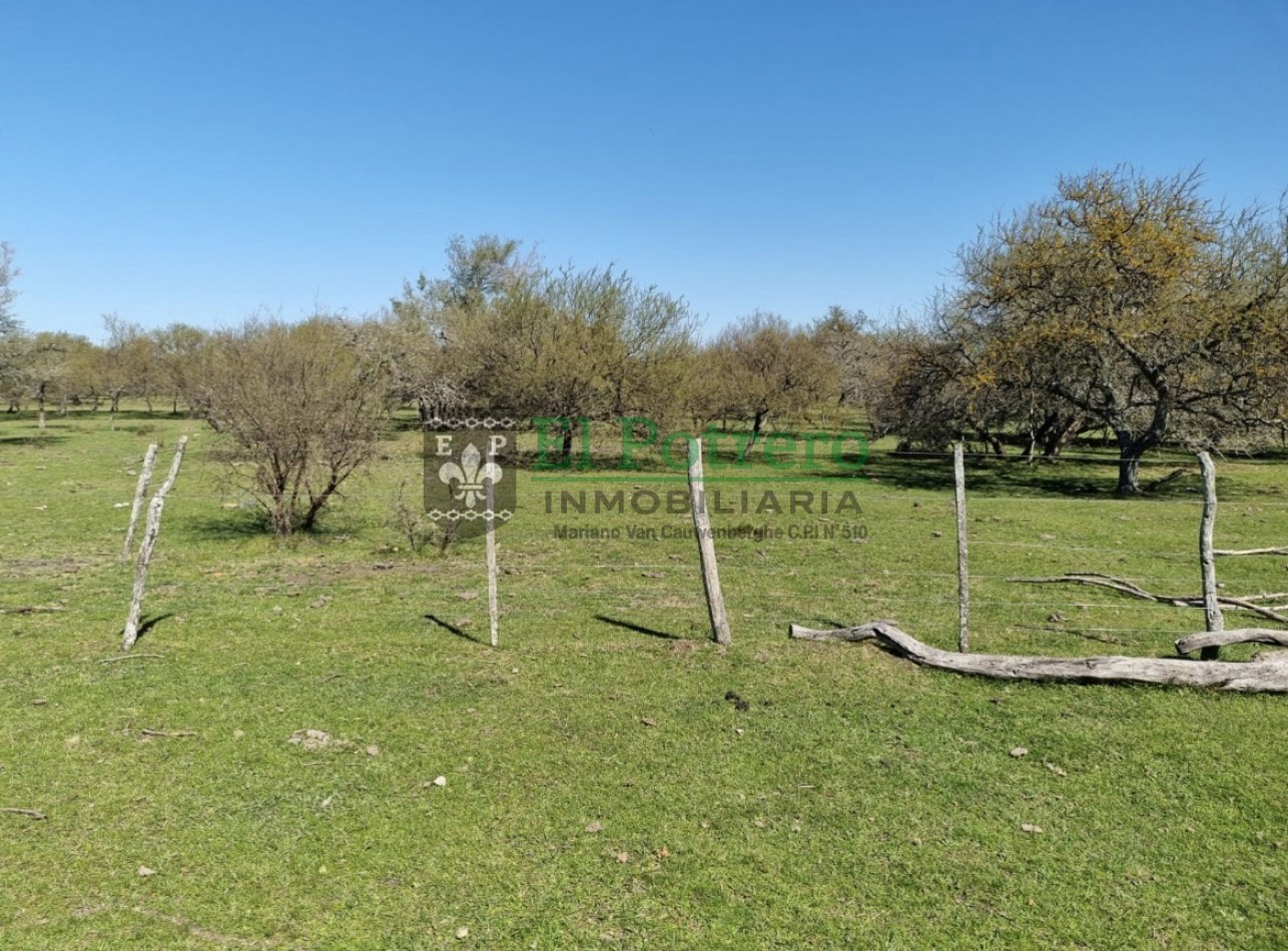Campo 25 hectareas en Lucas Norte 