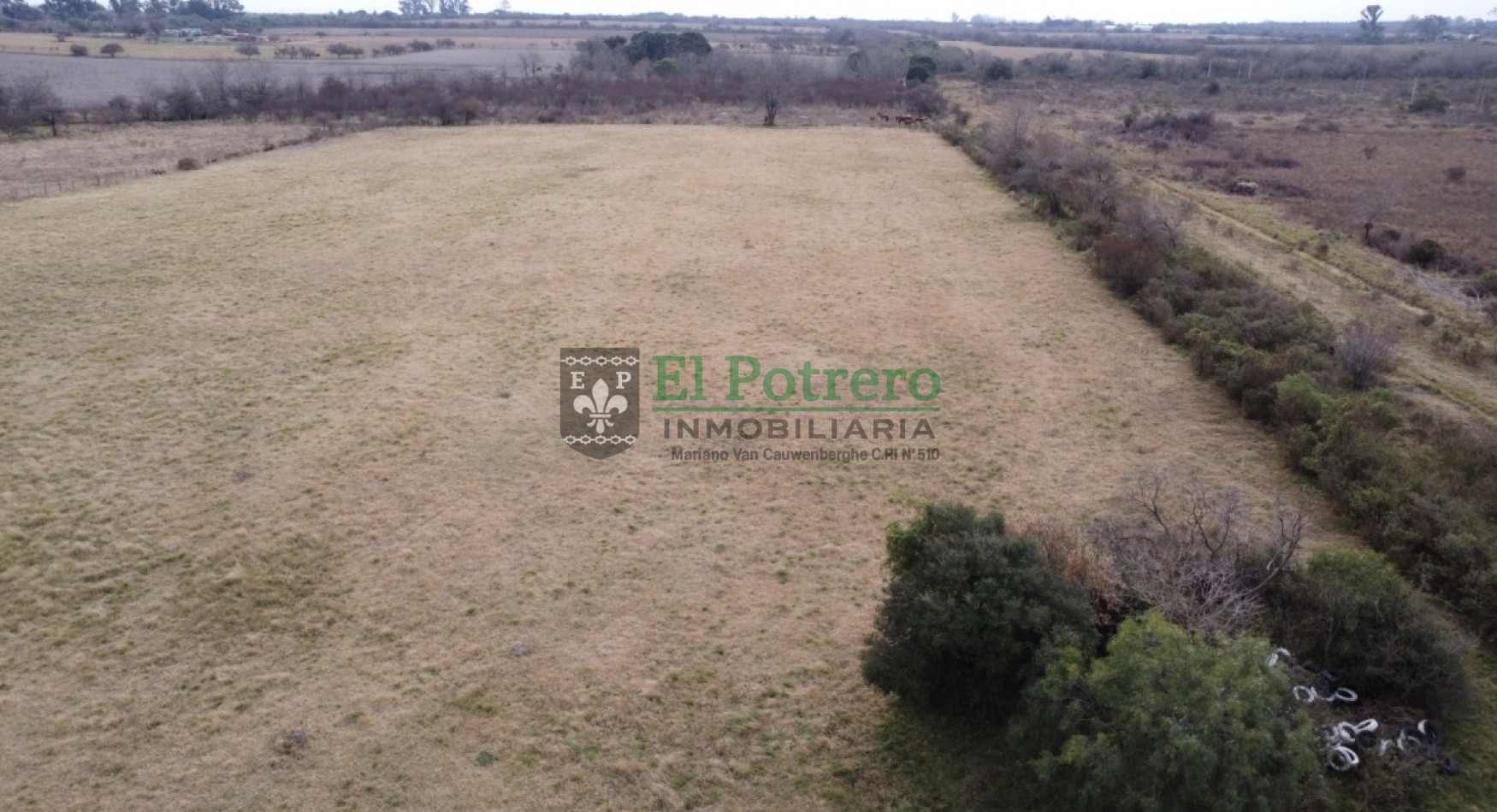 Quinta zona oeste