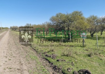 Campo 25 hectareas en Lucas Norte 