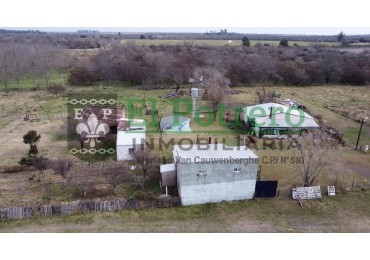 Quinta zona oeste