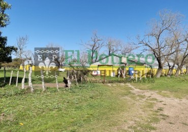 2 granjas de pollos + galpon + casa