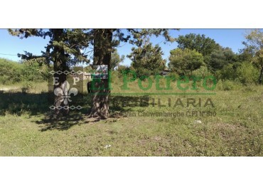 Terrenos calle Paysandu