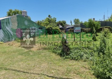 Terreno calle Paso