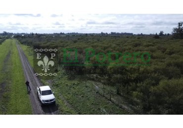 3 manzanas zona suroeste