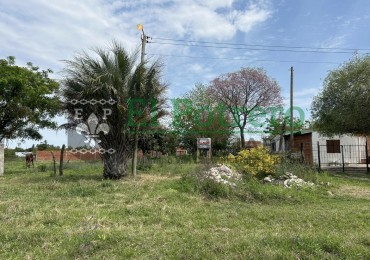 Terreno zona este