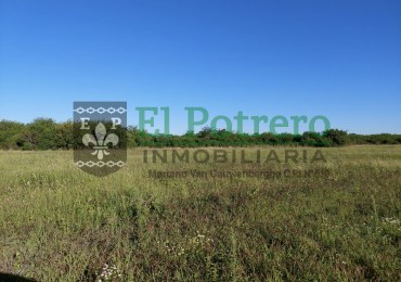 Terreno de 3,75 hectareas 