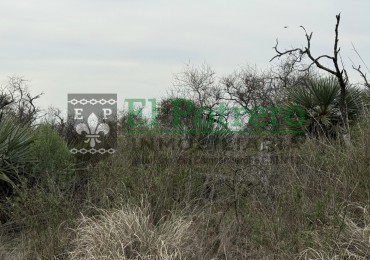 Campo en Raices este